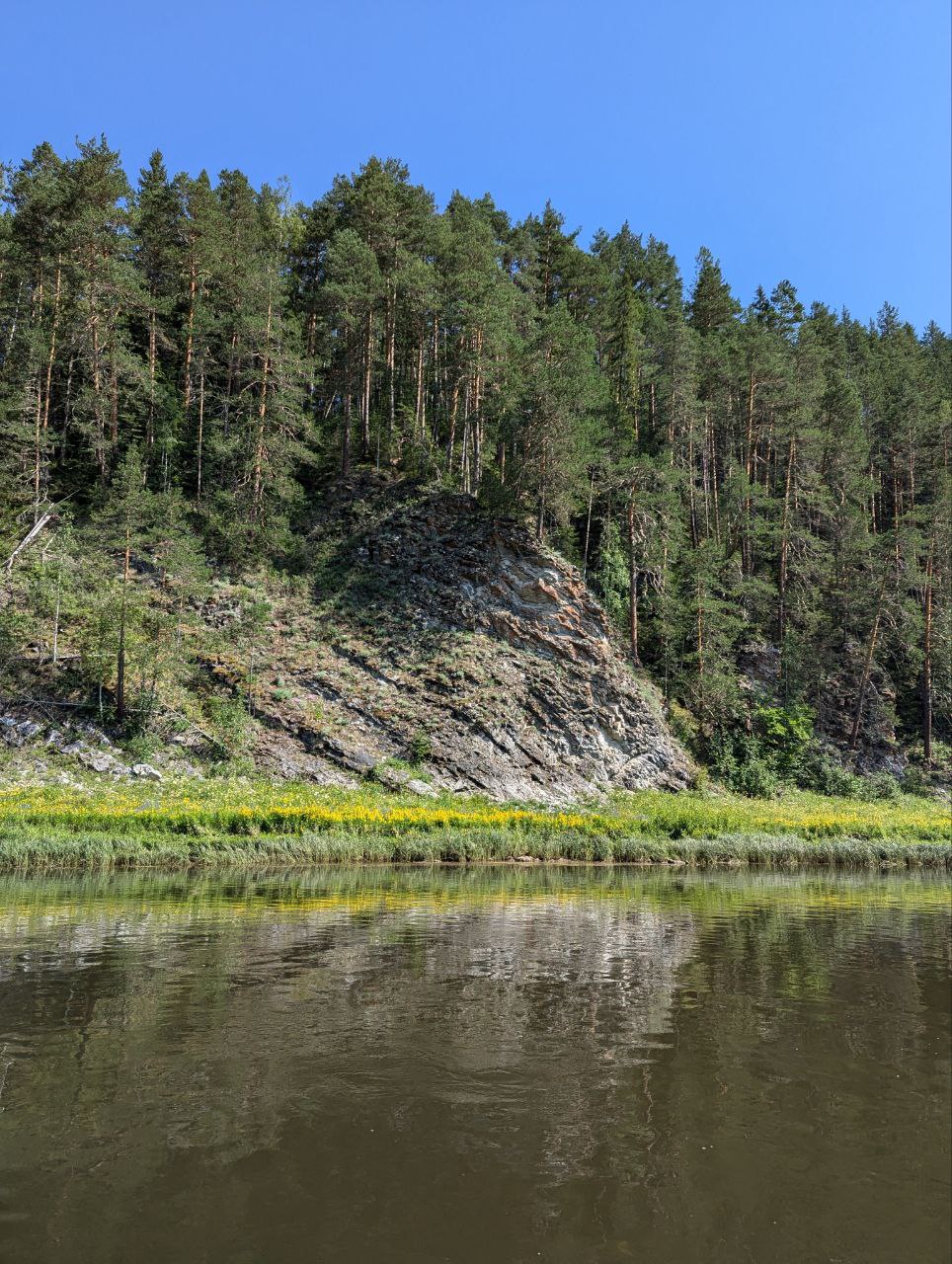 Сосны на скалах Урала